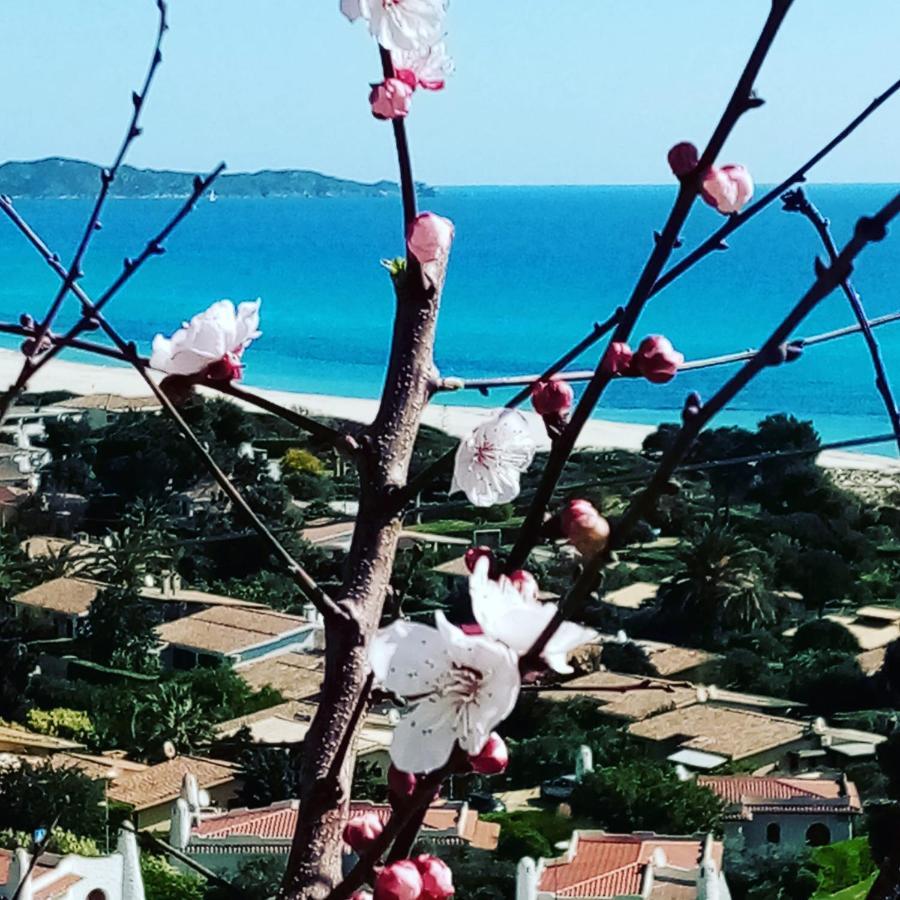 La Terrazza Sull'Alba Villa Costa Rei Bagian luar foto